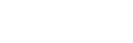 Ahold Delhaize logo