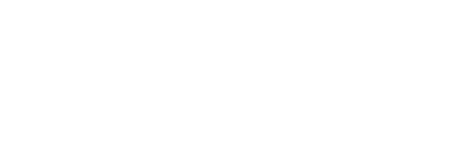 DELA logo