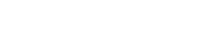 Exact logo