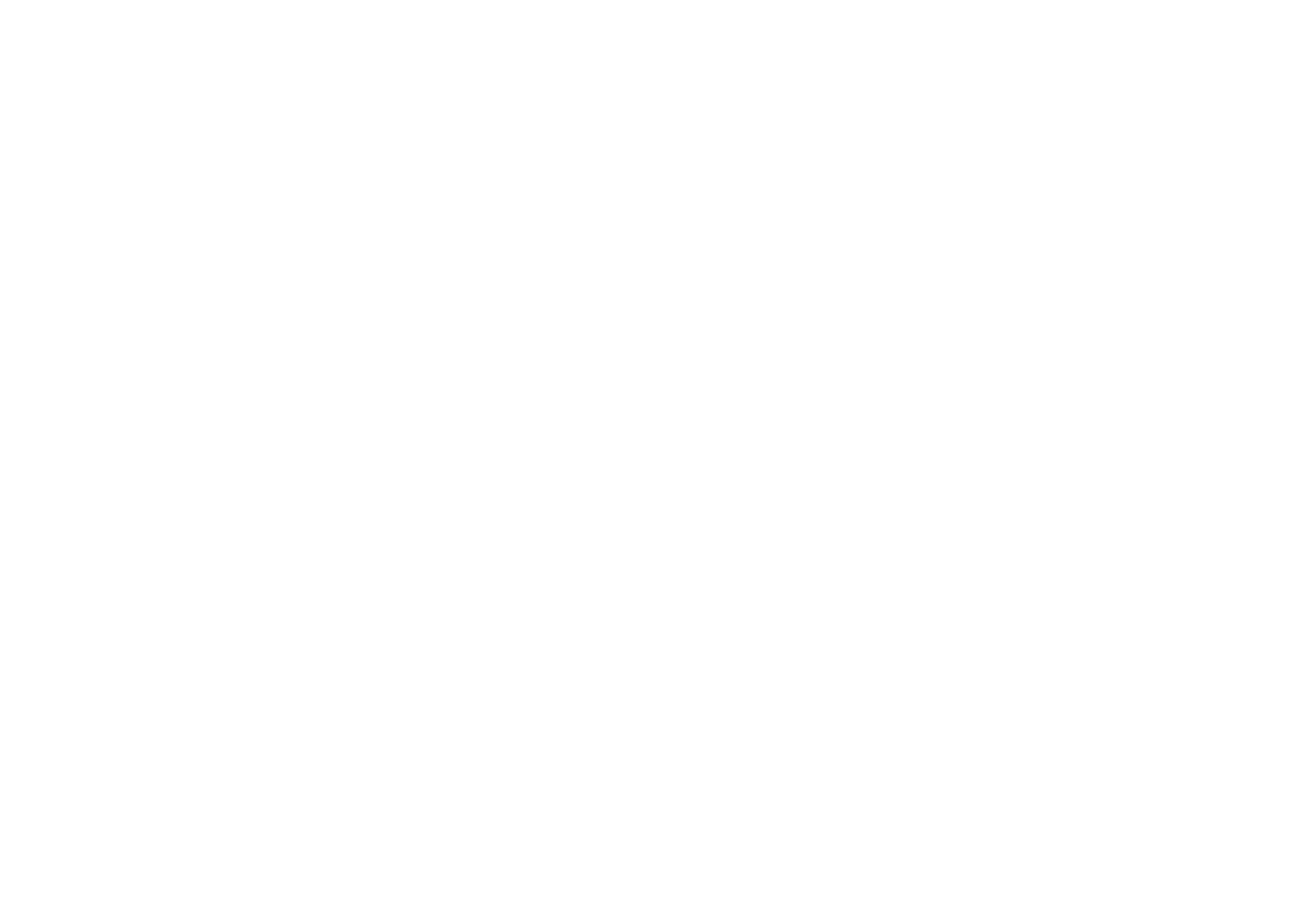 NS logo zwart-wit