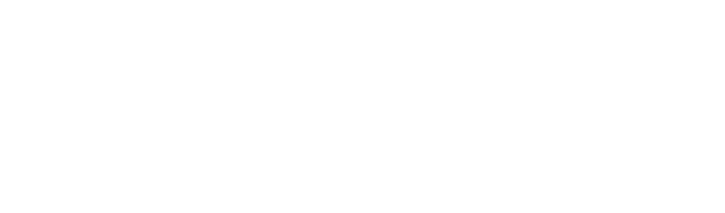Welkoop logo