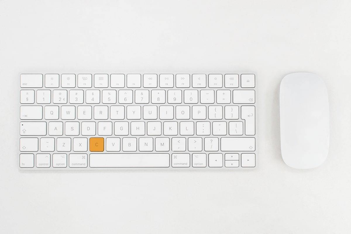 Landscape digital wit oranje 2