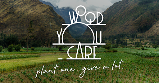 Wood you care